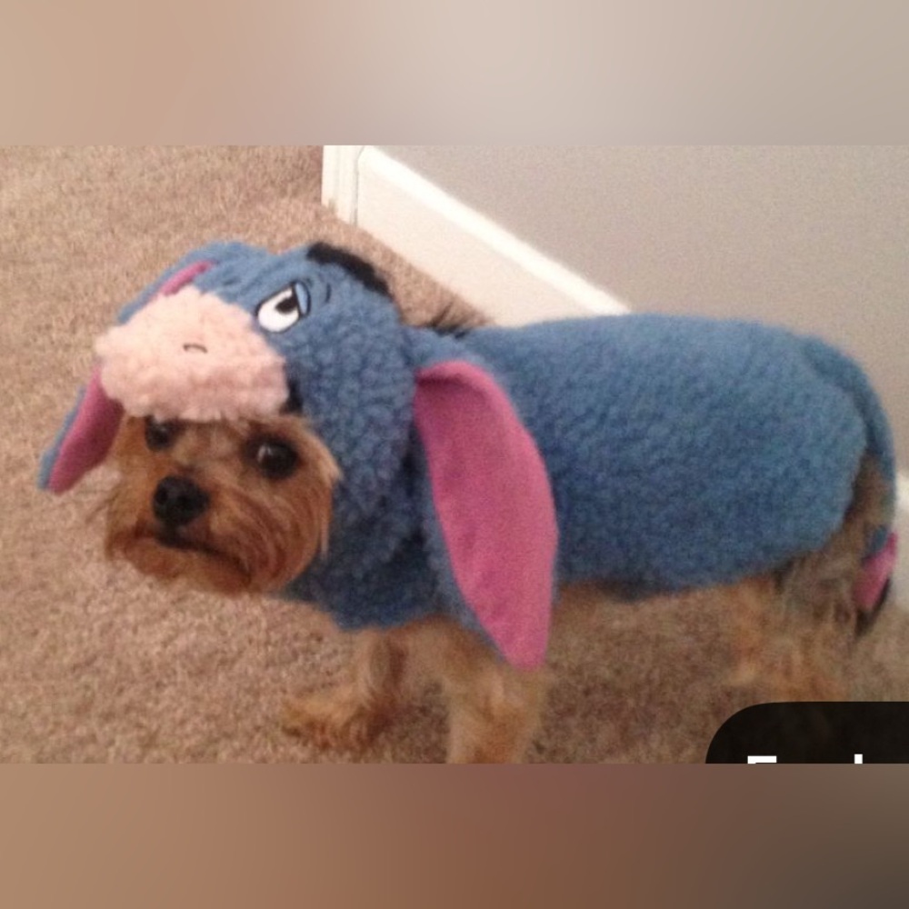 Disney Eeyore Pet Halloween Costume